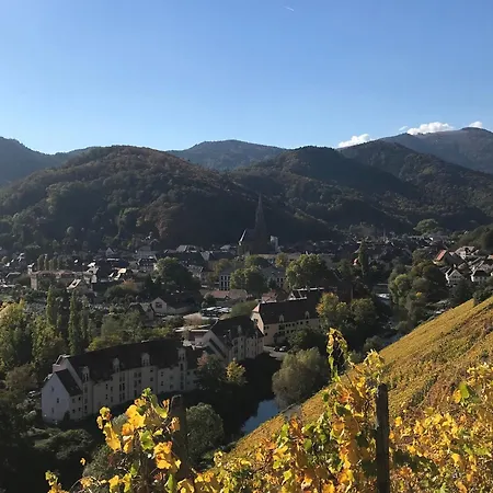 Maison De Charme Renovee Avec Terrasse, Centre De Thann, Proche Vignobles Et Randonnees - Fr-1-744-35 別荘 タン