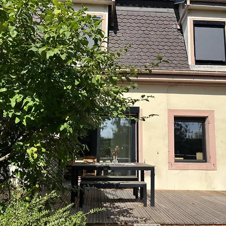 別荘 Maison De Charme Renovee Avec Terrasse, Centre De Thann, Proche Vignobles Et Randonnees - Fr-1-744-35 *
